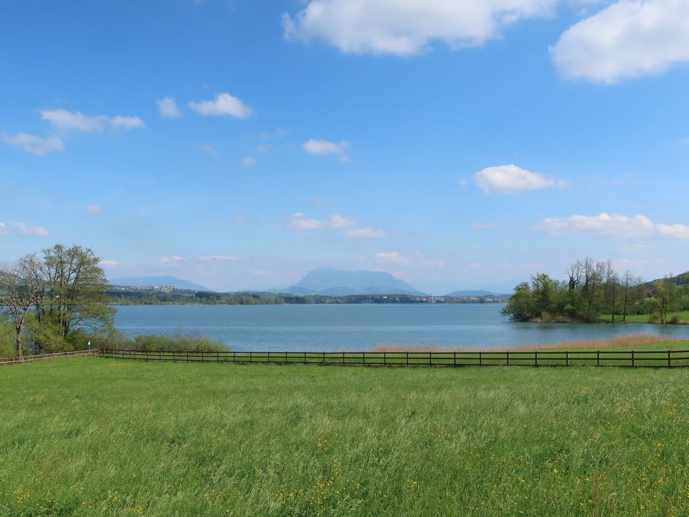 Baldeggersee mit Rigi