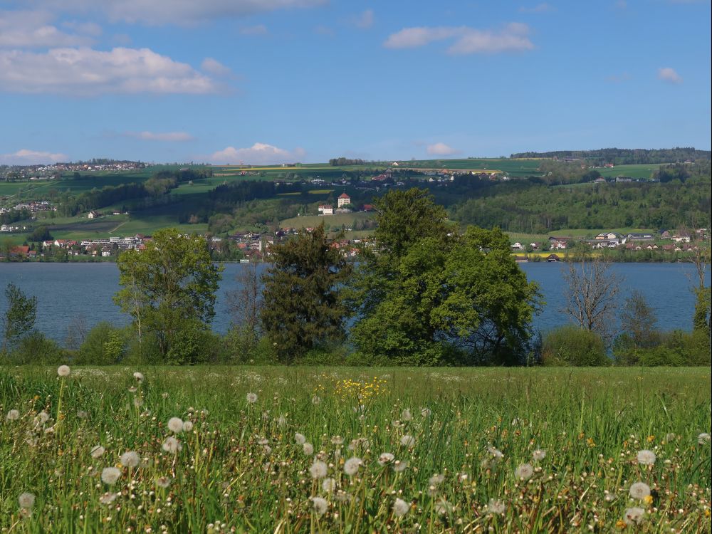 Schloss Heidegg auf der anderen Seeseite