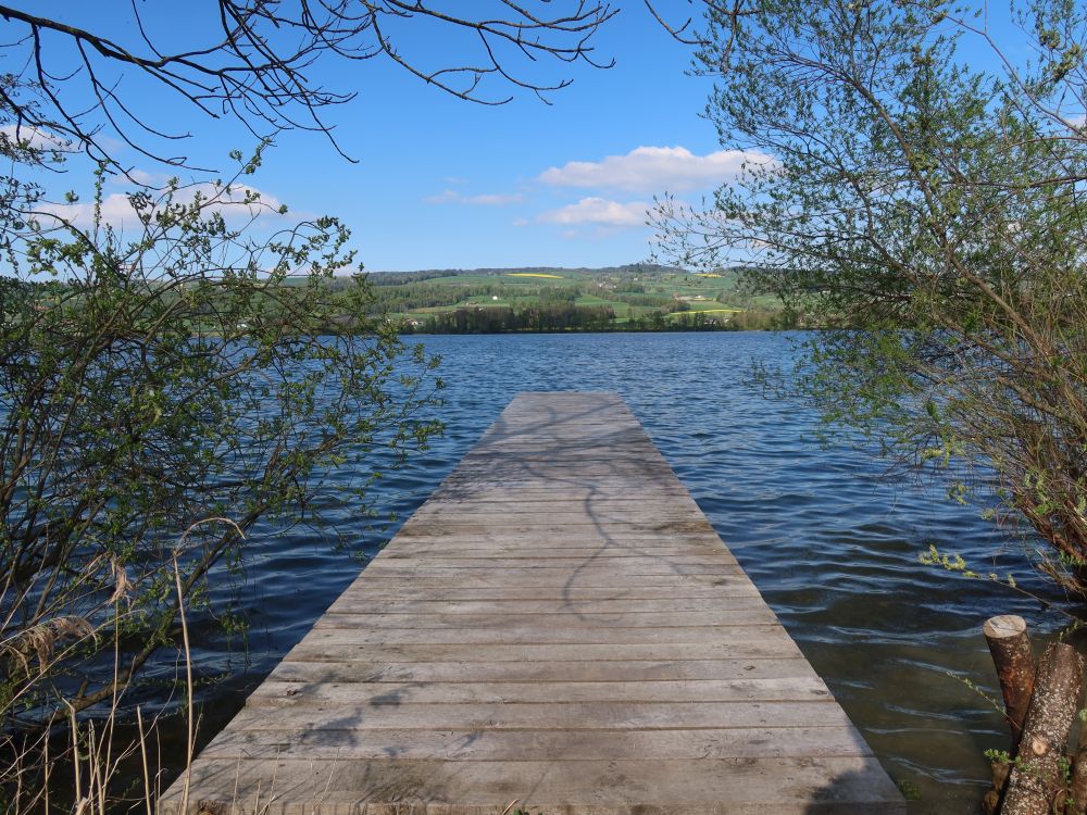 Steg am Baldeggersee