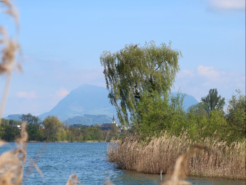 Kirche Hochdorf und Rigi