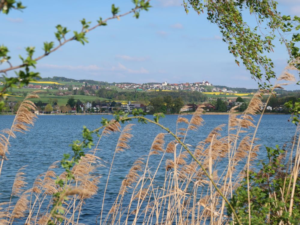 Blick Richtung Hohenrain