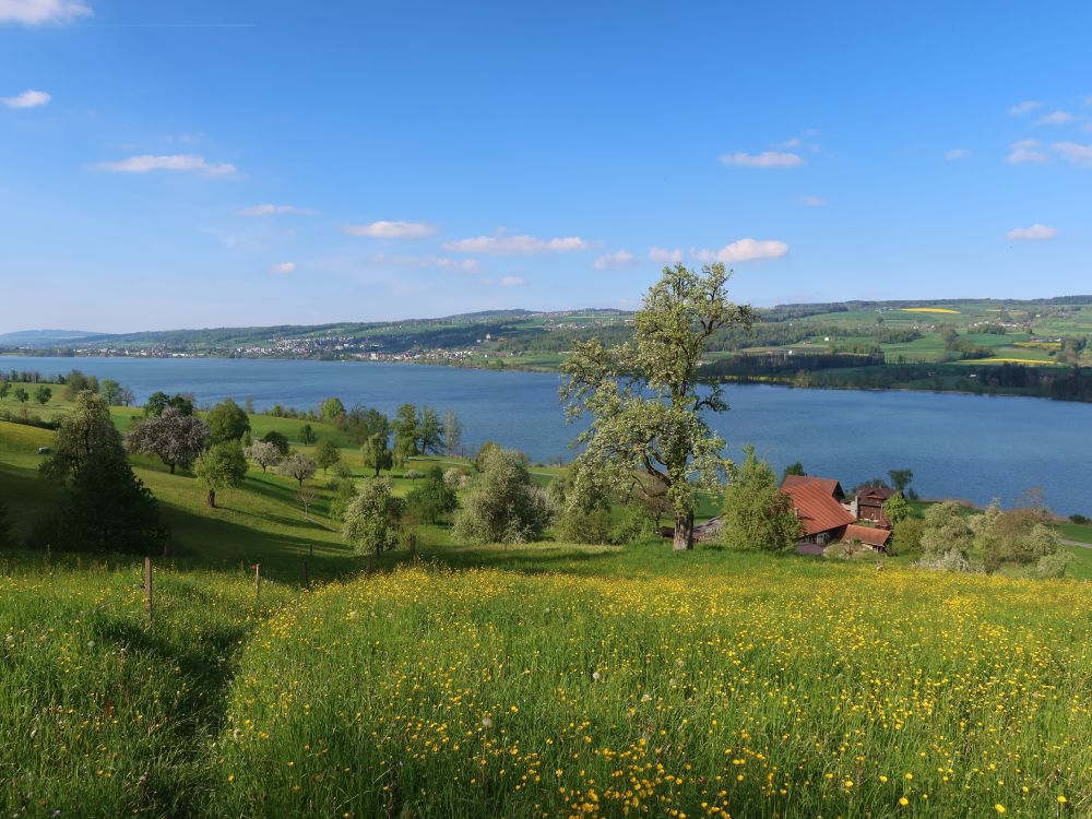 Wiesenpfad über Tämpiko