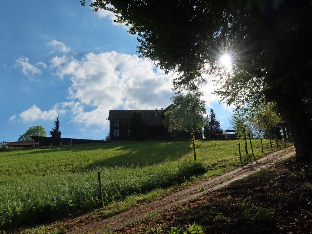 Bauernhof im Gegenlicht