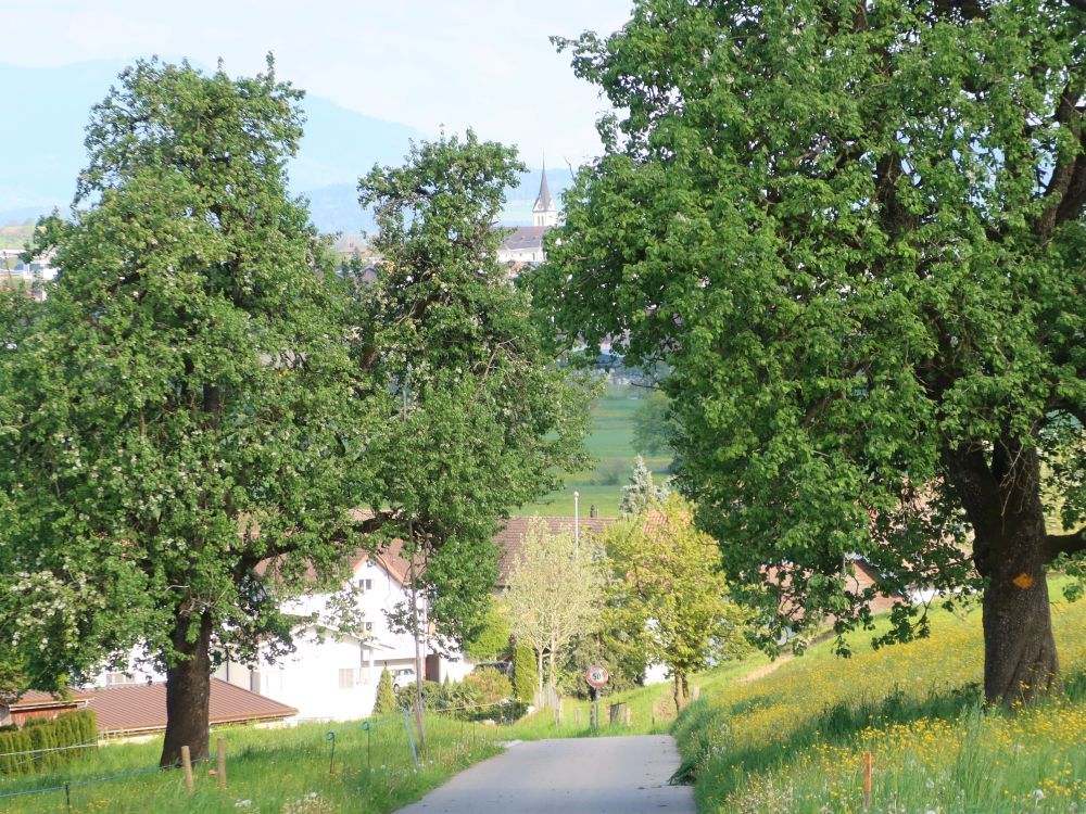 Weg bei Nunwil und Kirchturm Hochdorf zwischen Bäumen