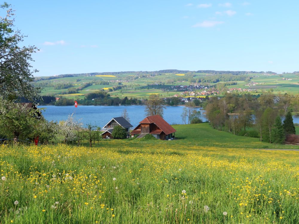 Häuser bei Nunwil