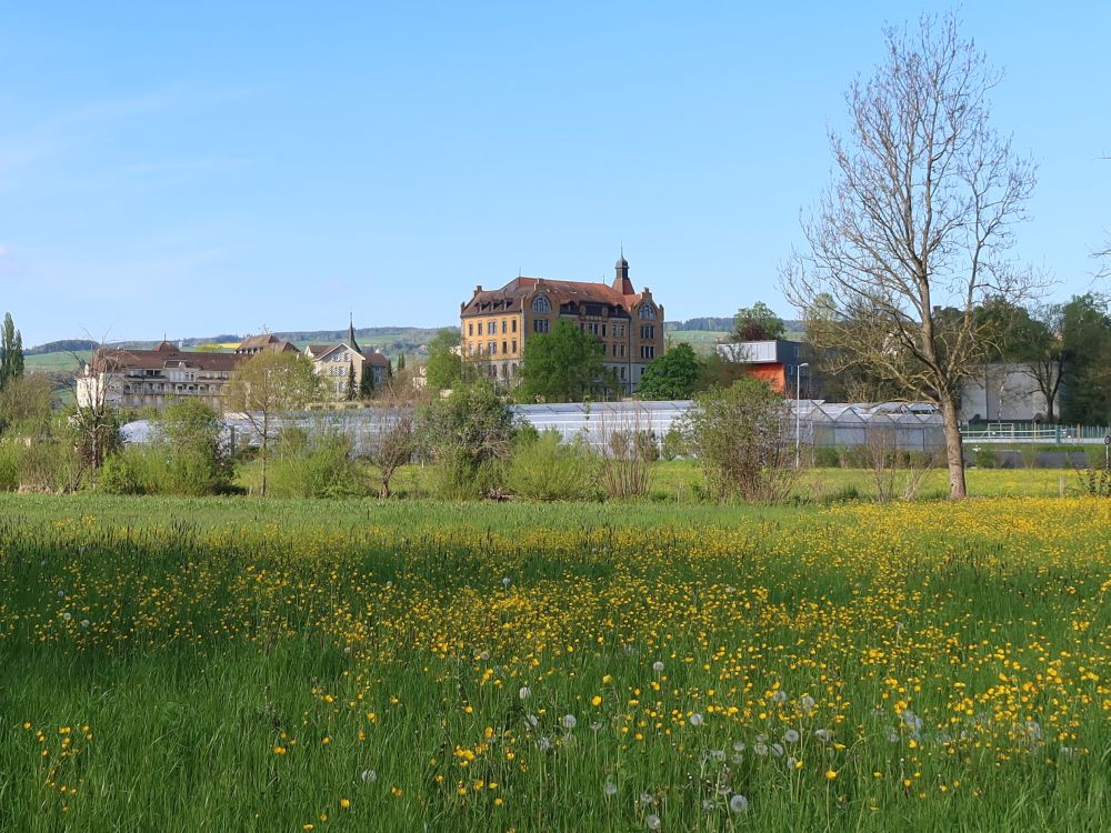 Kloster Baldegg