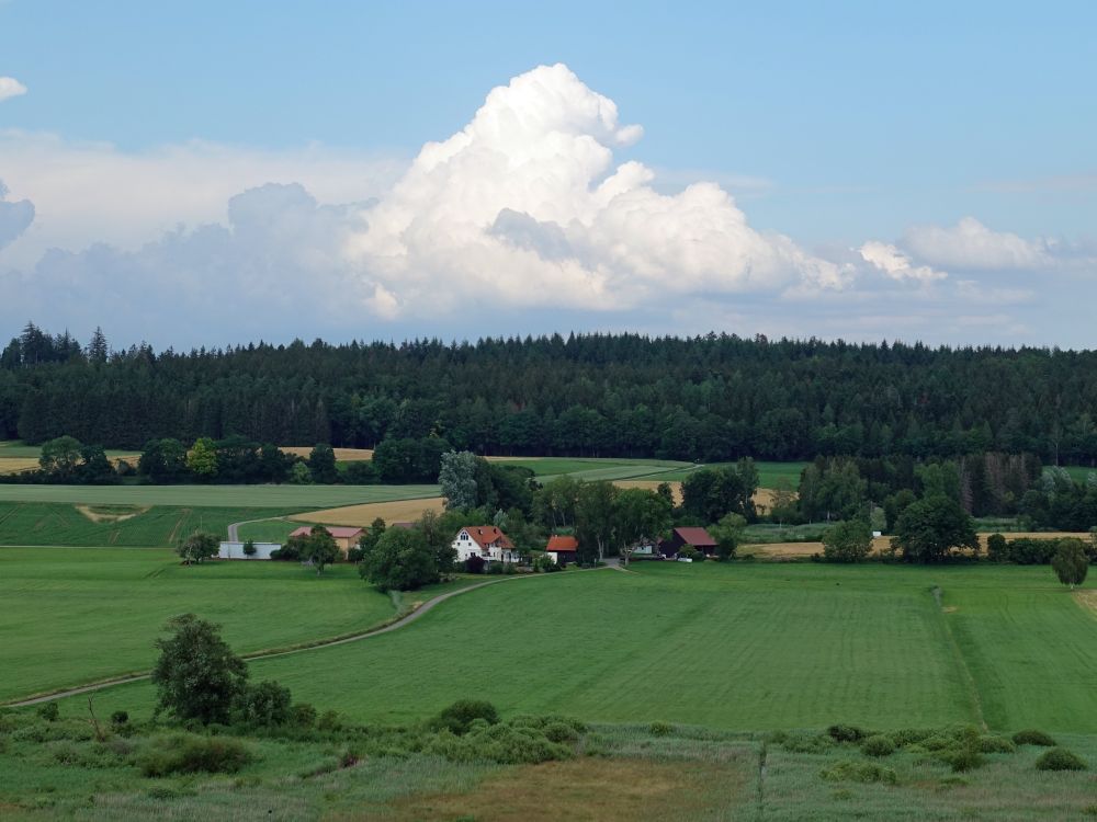 Laubbacher Mühle