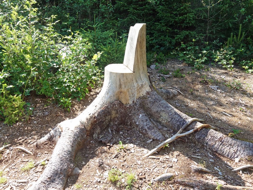 Sitz aus Baumstumpf