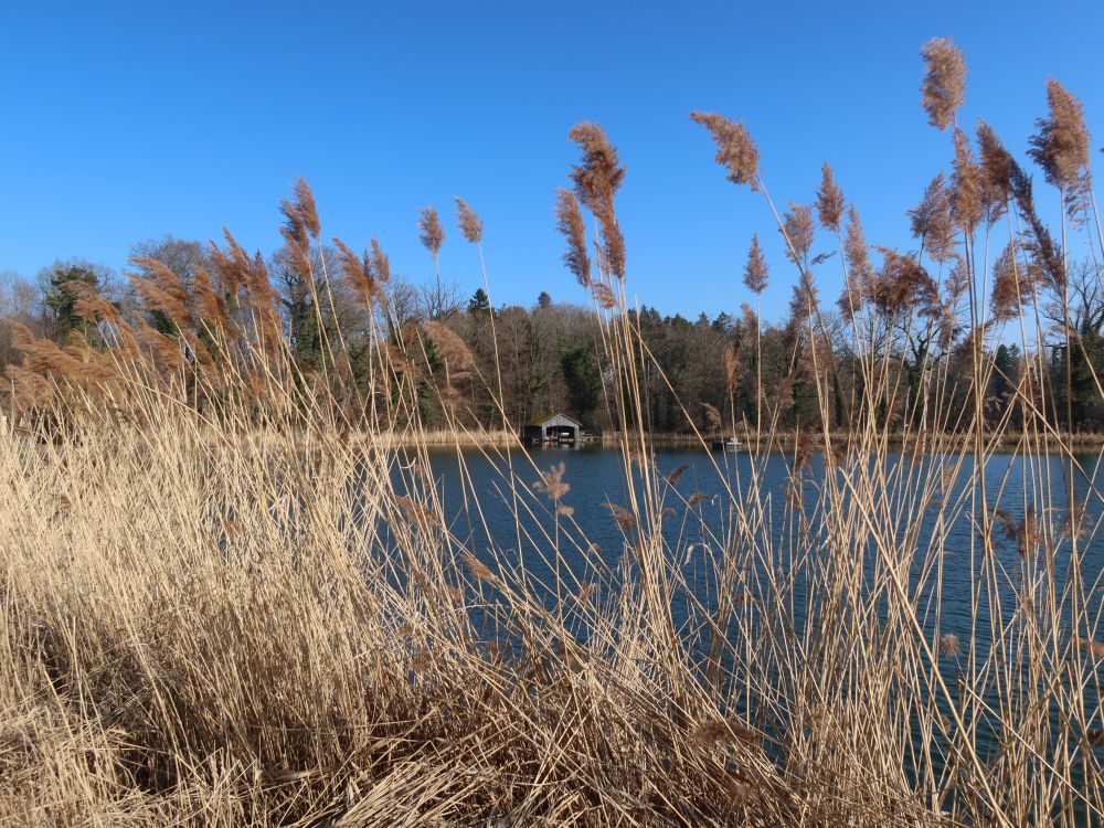 Emmerzerweiher