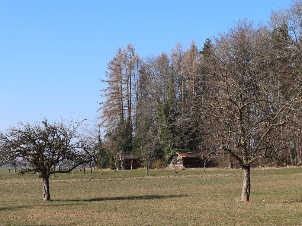 Hütten am Waldrand