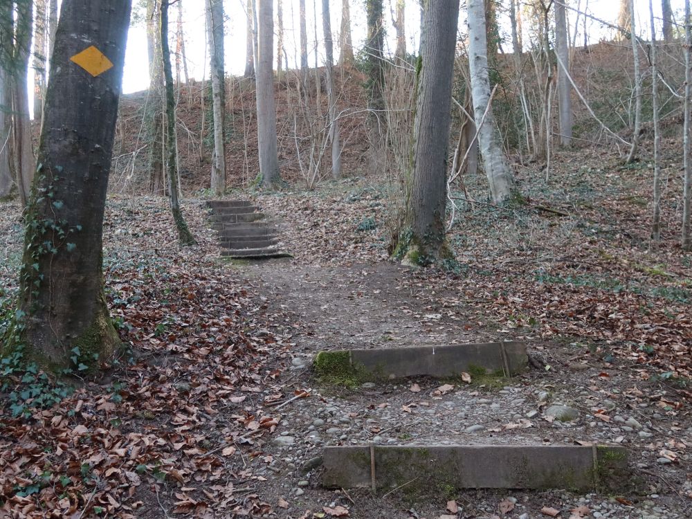 Treppe im Tobelholz