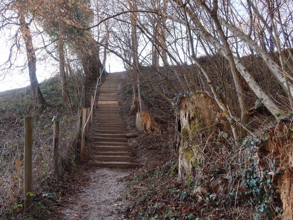 Treppe im Tobelholz