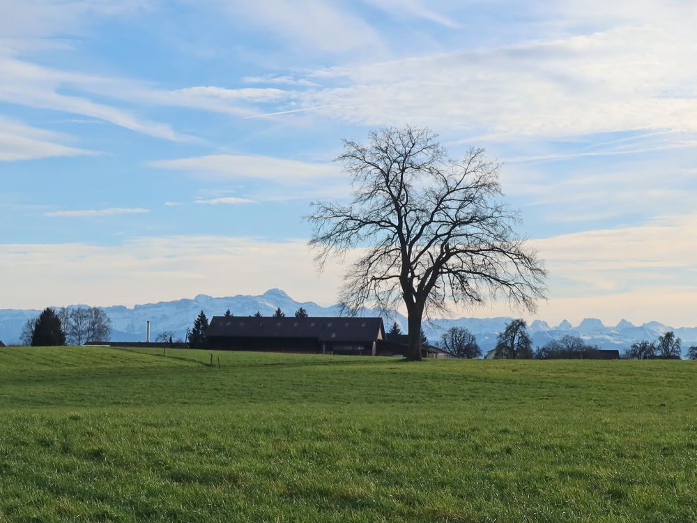 Alpstein und Churfirsten