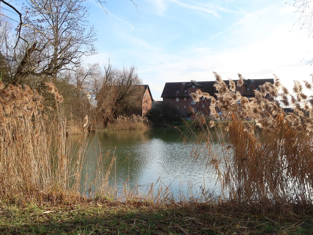 Teich am Kuenzebode