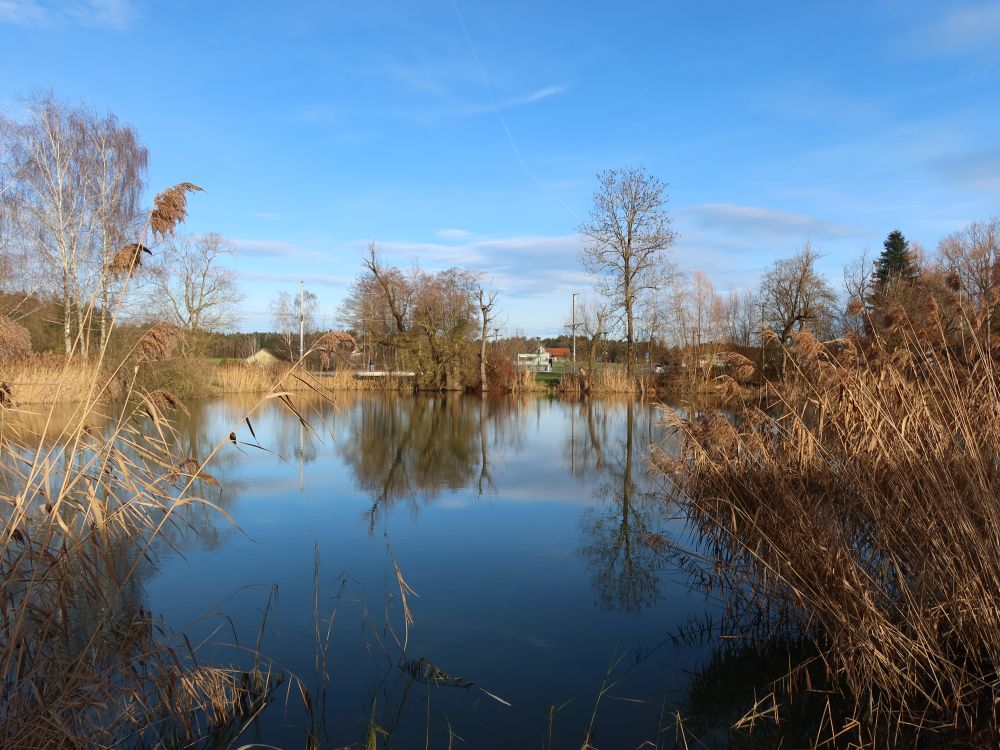 Teich am Kuenzebode