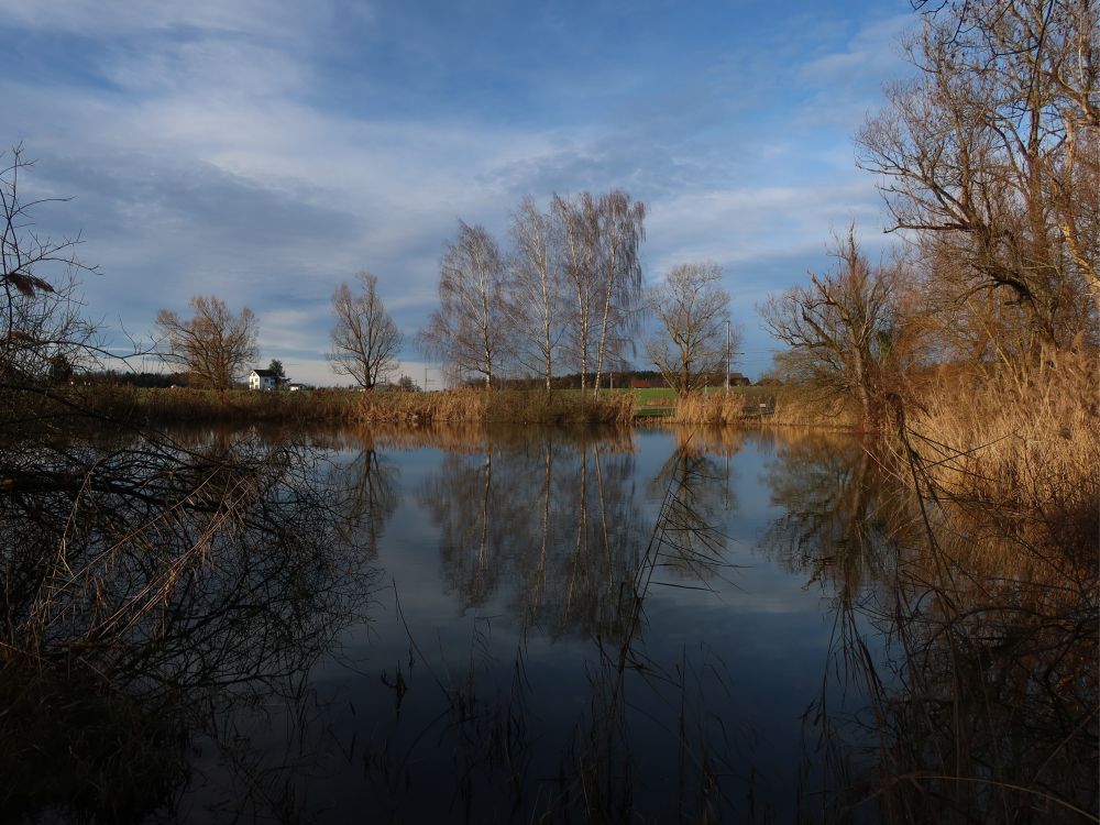 Teich am Kuenzebode