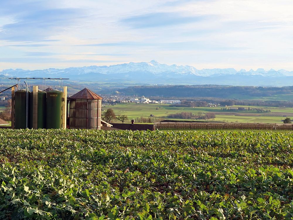 Futtersilos und Alpstein