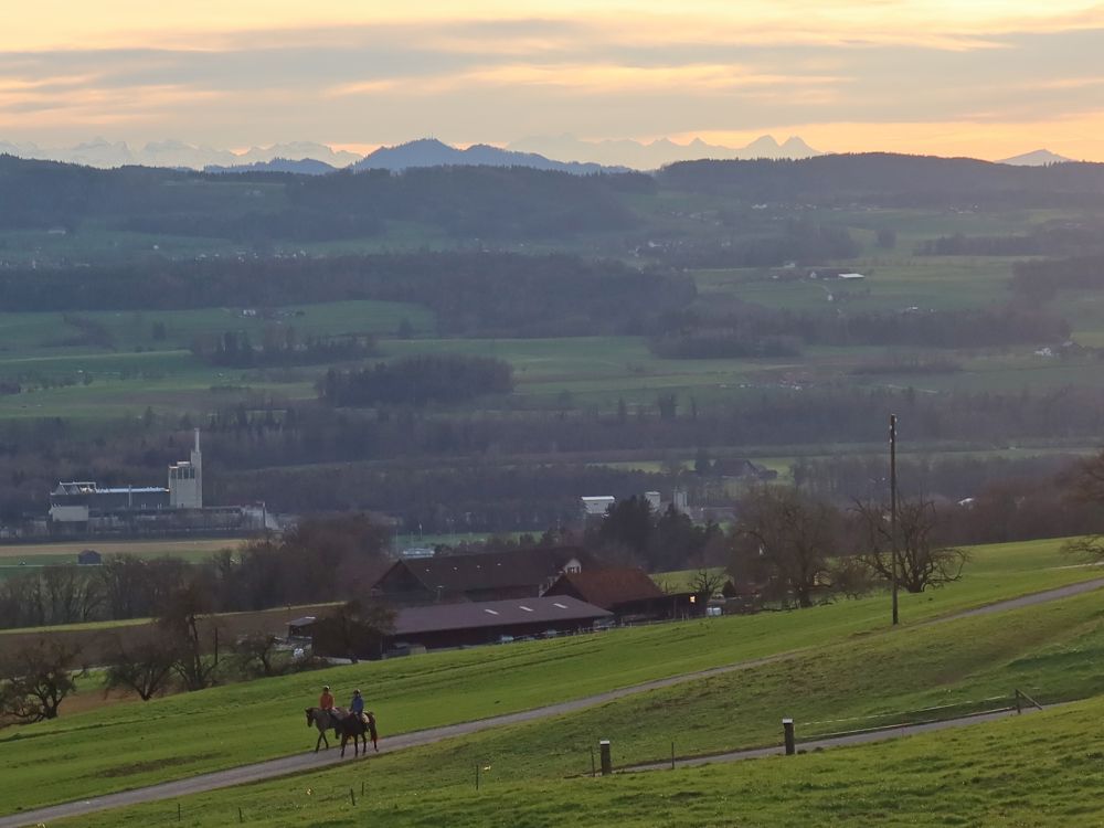 Reiter und Berner Alpen