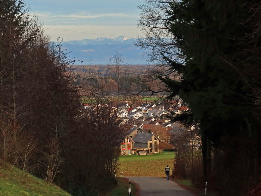 Bergerwilen mit Bodensee und Alpen