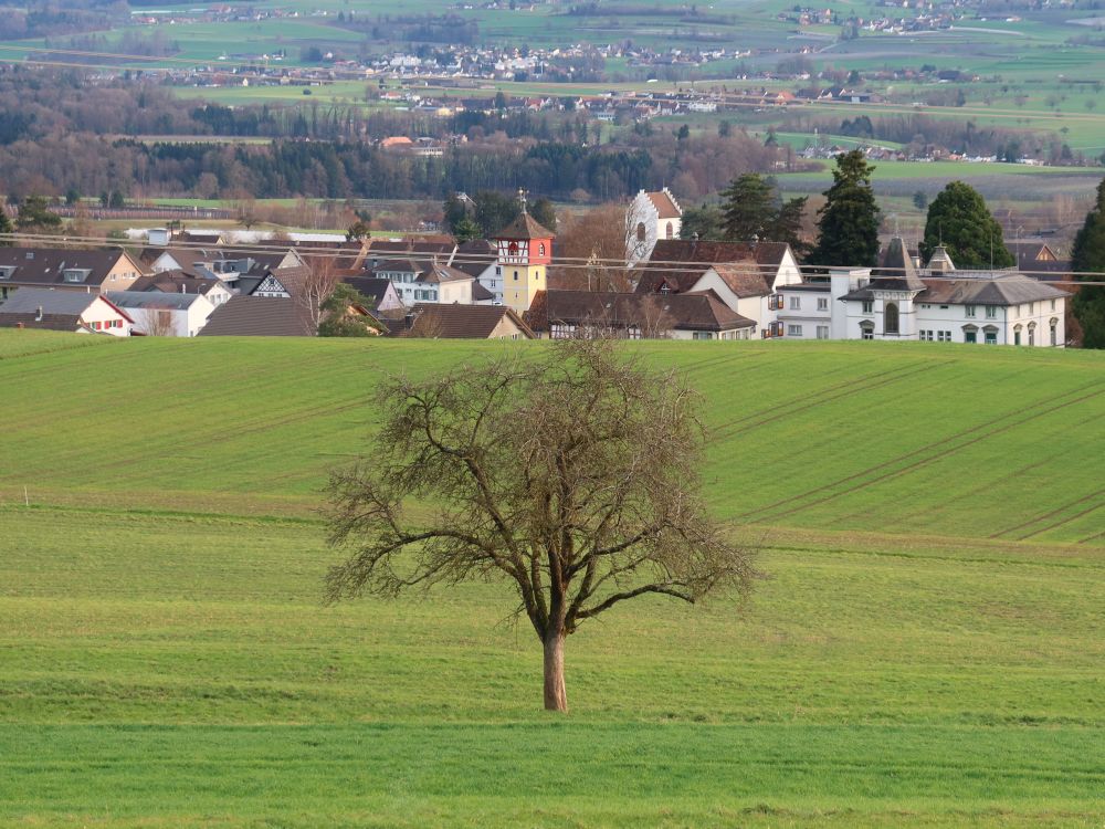 Schloss und Evang. Kirche