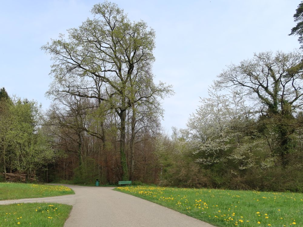 Strässchen am Eichelmos