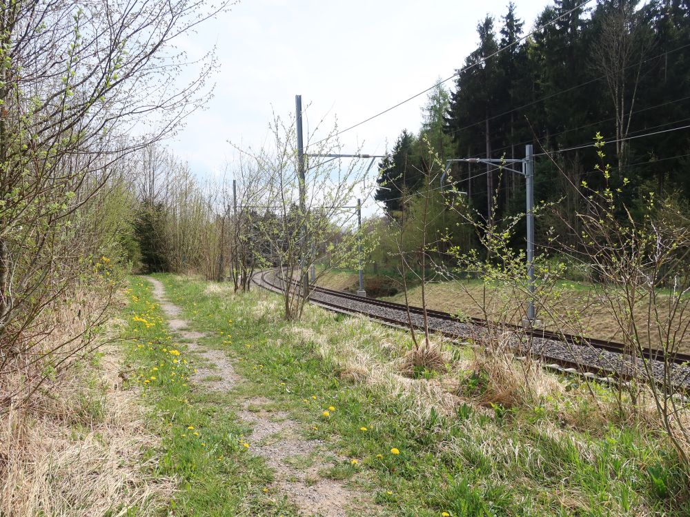 Pfad am Bahngleis