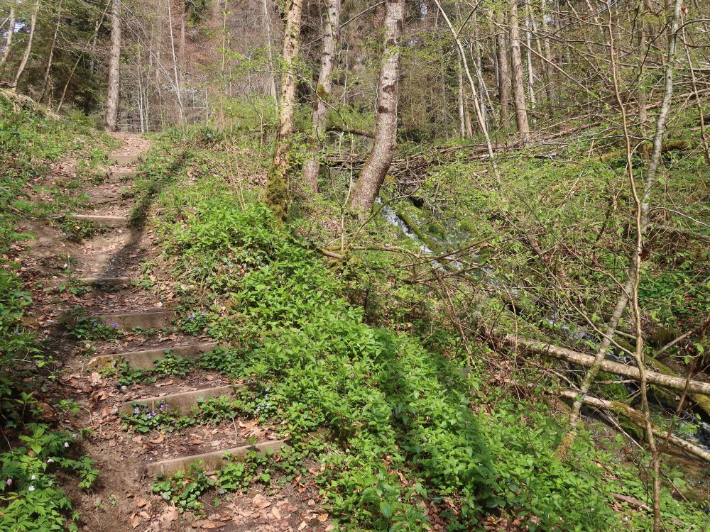 Treppe am Tobelbach