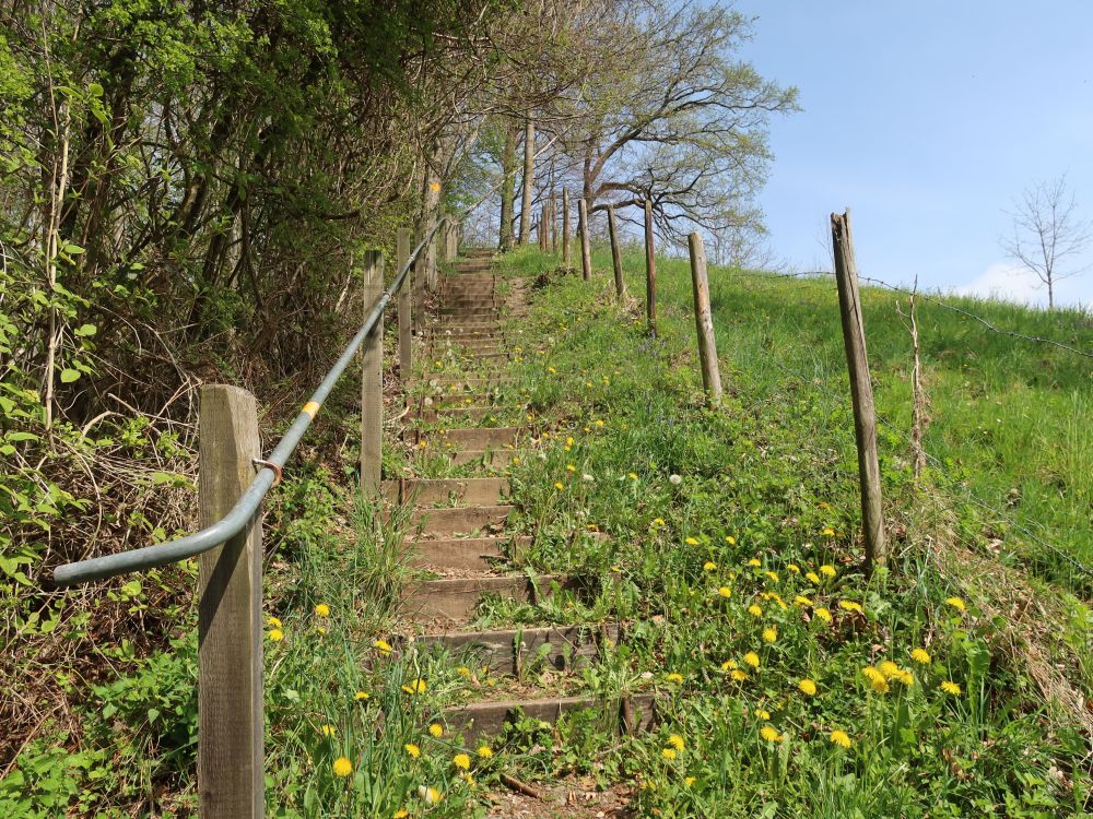 Treppe am Tobelholz