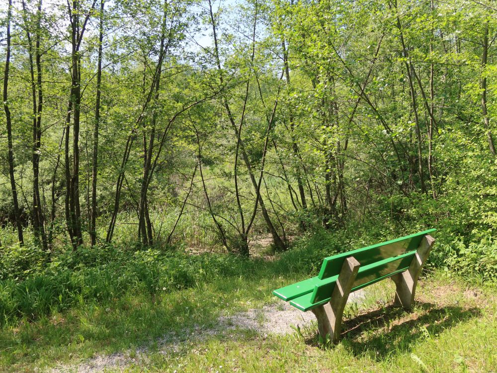 Sitzbank am Teich