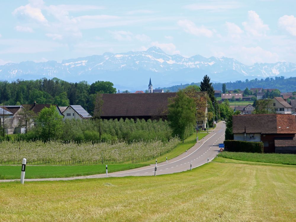 Säntis über Kirche von Sulgen