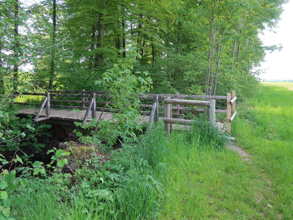 Holzsteg am Wisebach