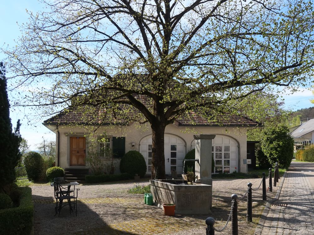 Haus mit Brunnen in Mauren