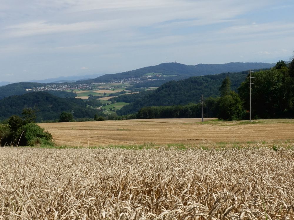 Blick Richtung Uetliberg