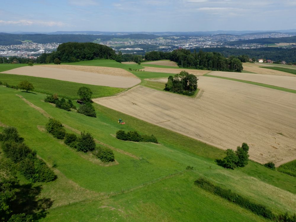 Blick vom Hasenbergturm