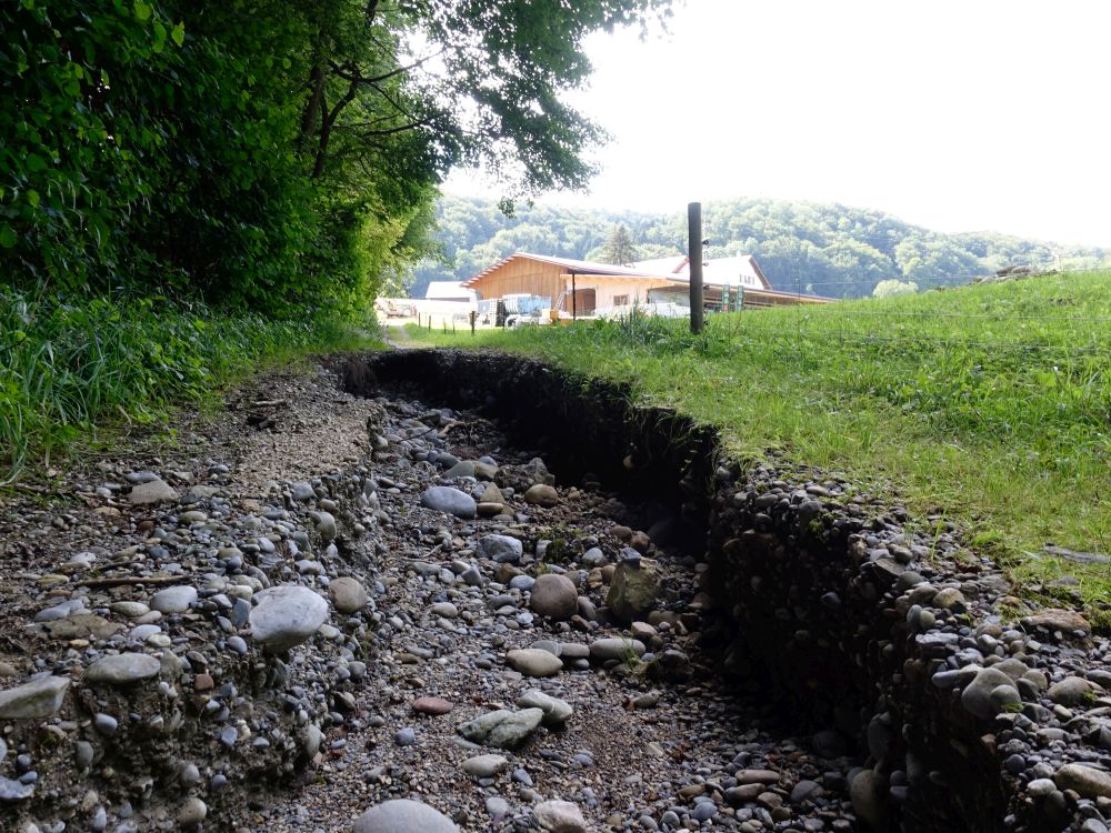 vom Regen zerstörter Wanderweg