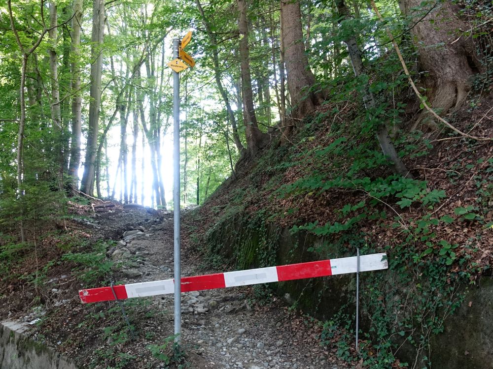 Wegsperrung bei Ober Schönenberg