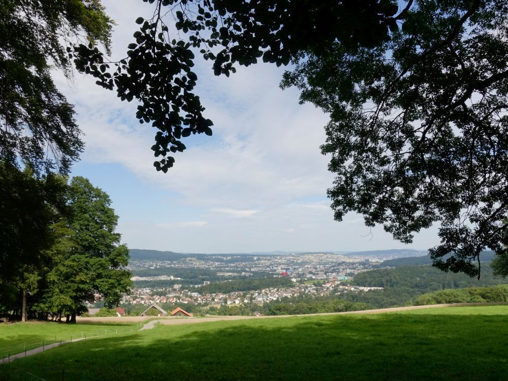 Blick Richtung Dietikon