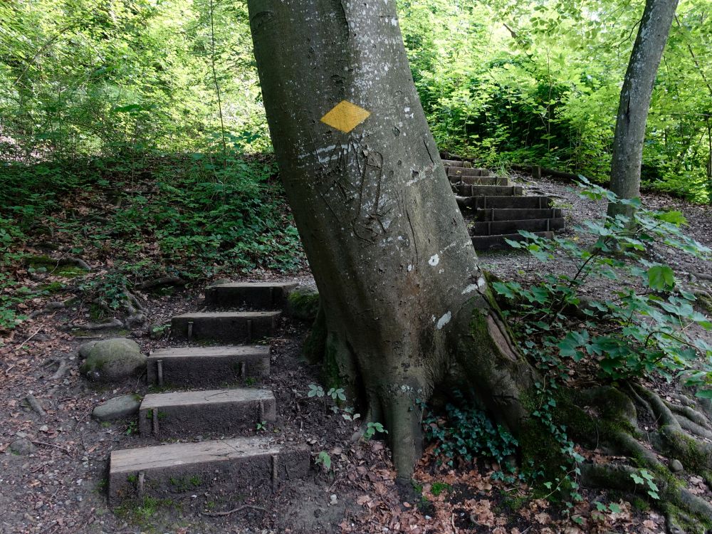 Treppe