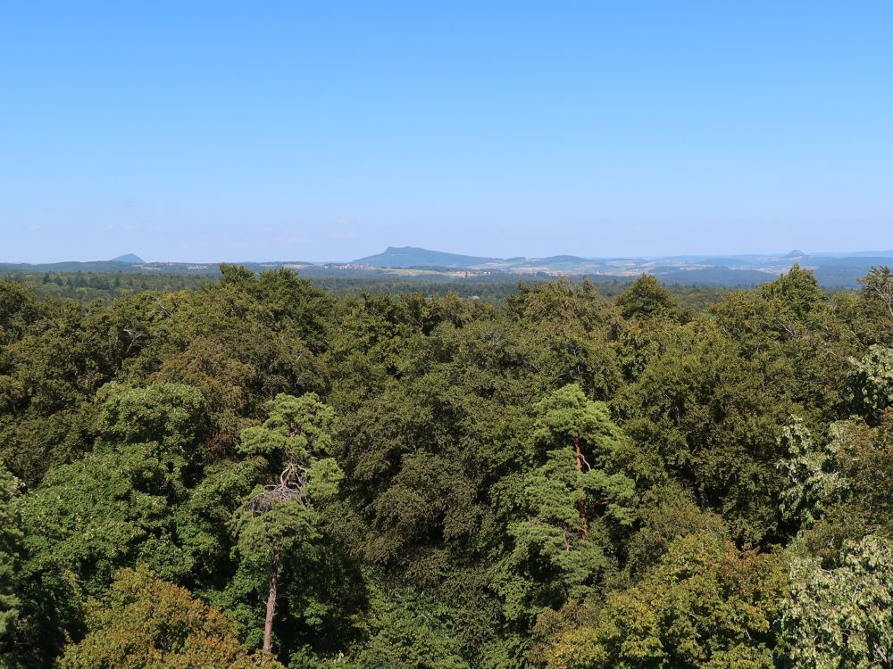 Hegaublick: Hohenhewen, Hohenstoffeln, Hohentwiel