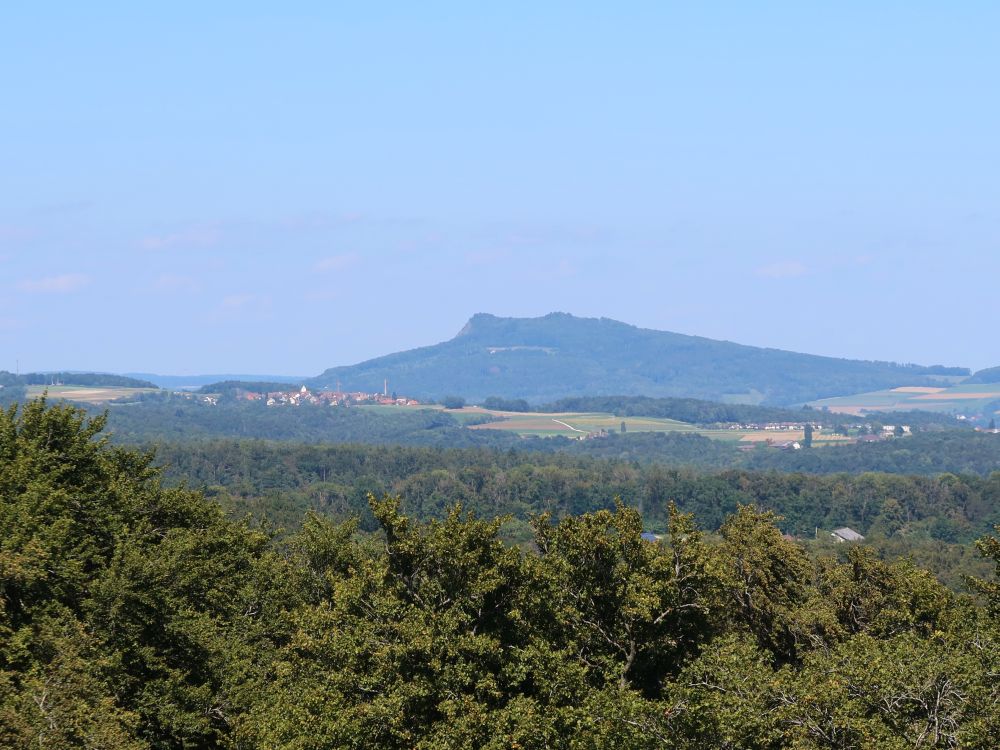 Binningen und Hohenstoffeln