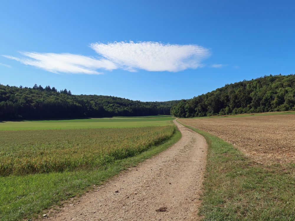 Wolke überm Eschmertaal