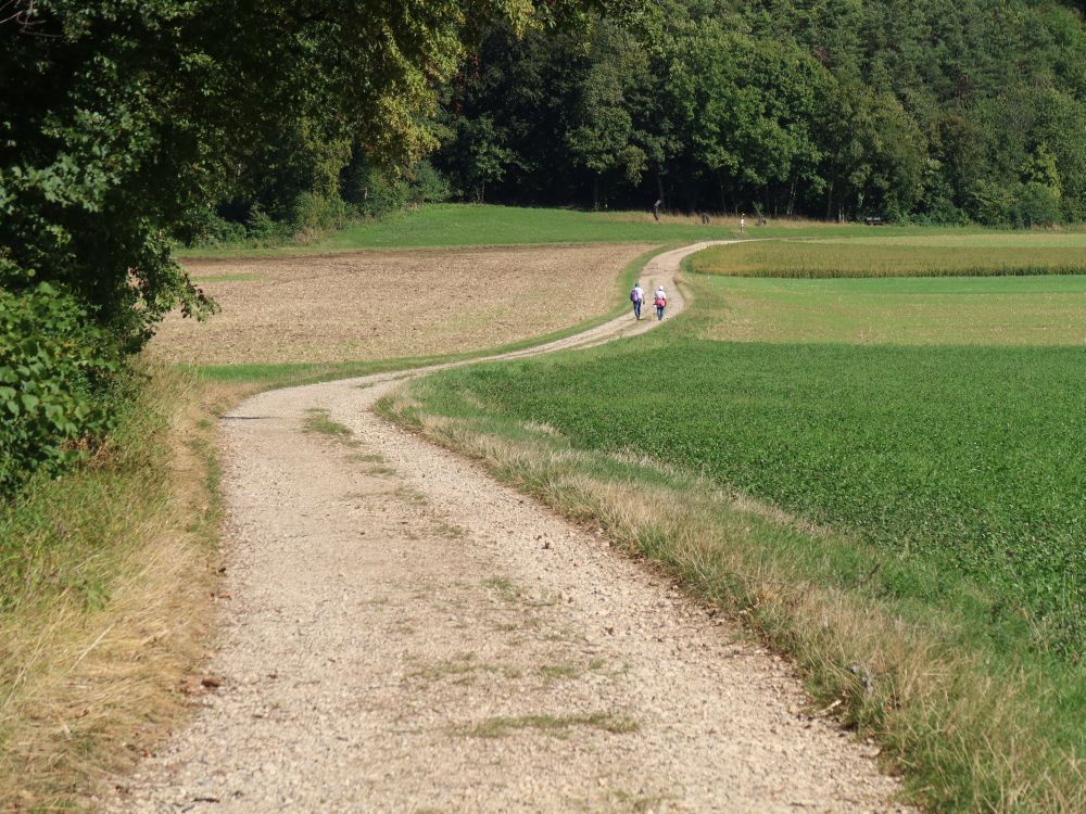 Weg im Eschmertaal