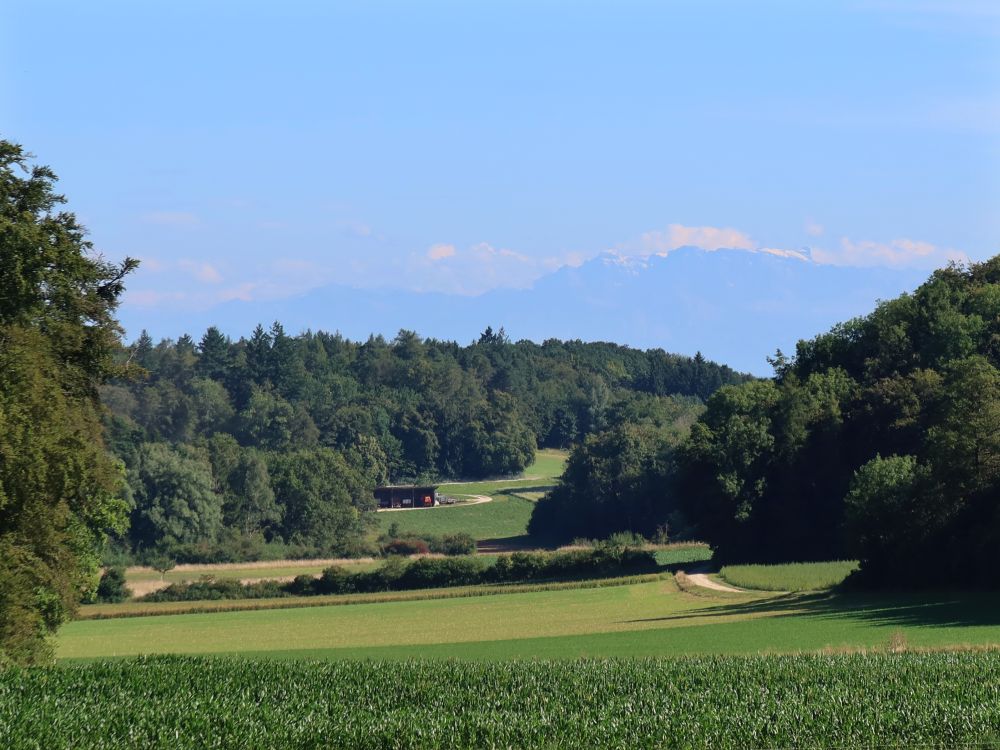 Alpen im Dunst