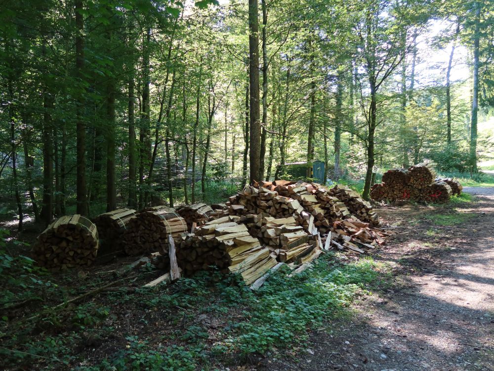 Holz gebündelt und ungebündelt