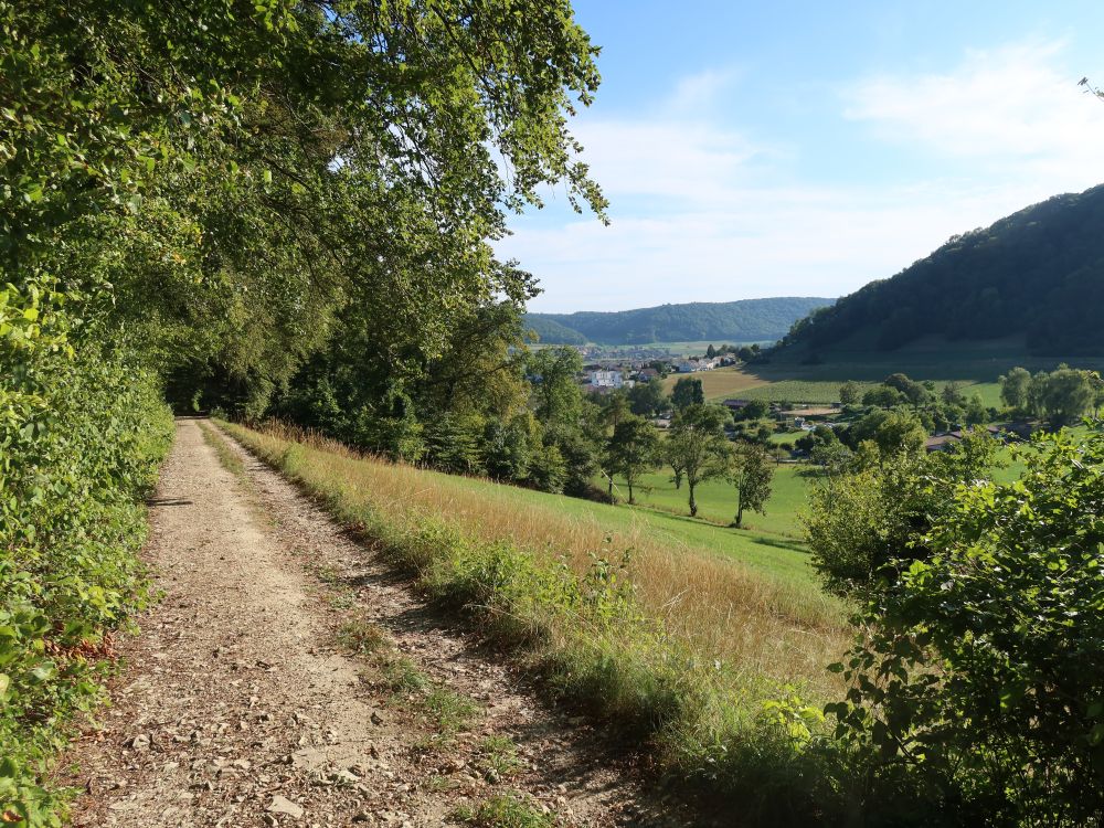 Weg am Waldrand