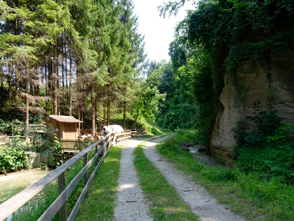 Wildbach am Bööniweier