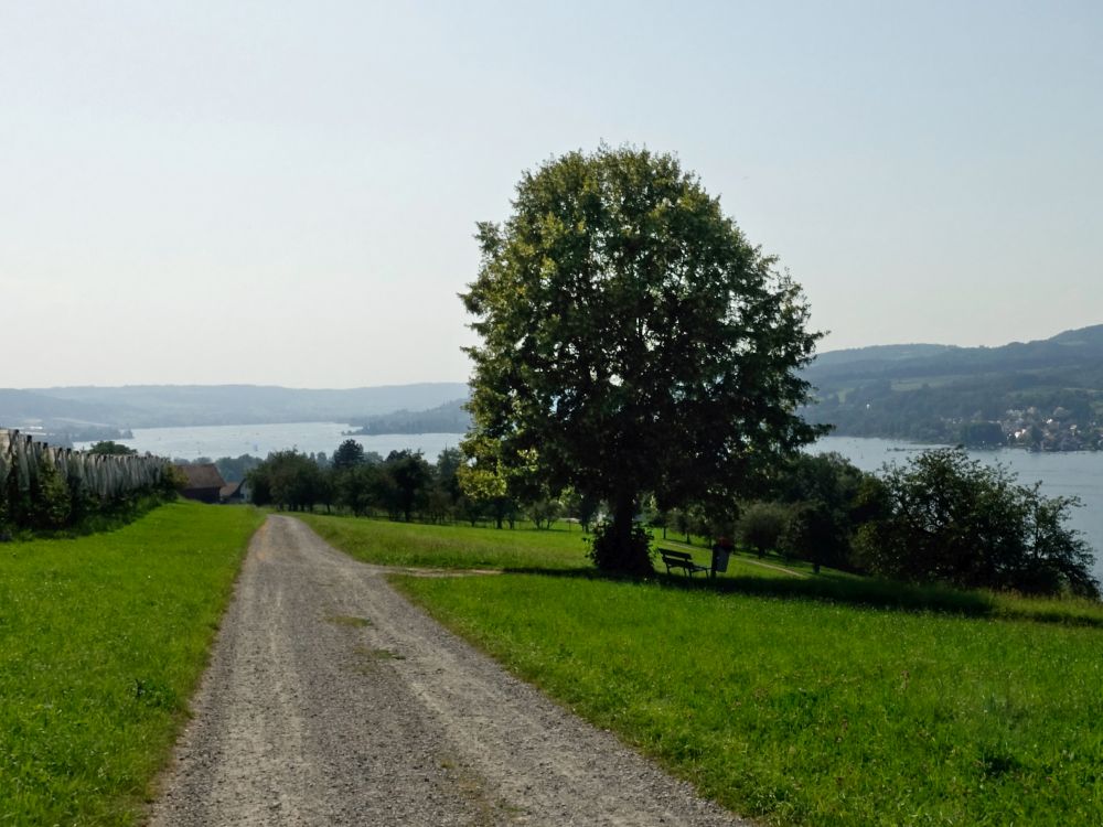 Weg oberhalb Steckborn