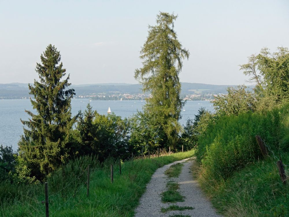 Weg mit Rheinblick