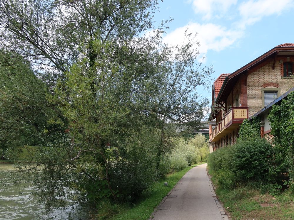 Uferweg an der Aare