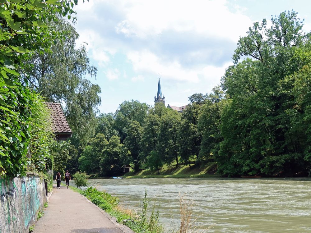 Uferweg an der Aare